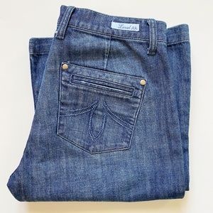 Anthropologie Level 99 Flare Leg Jeans